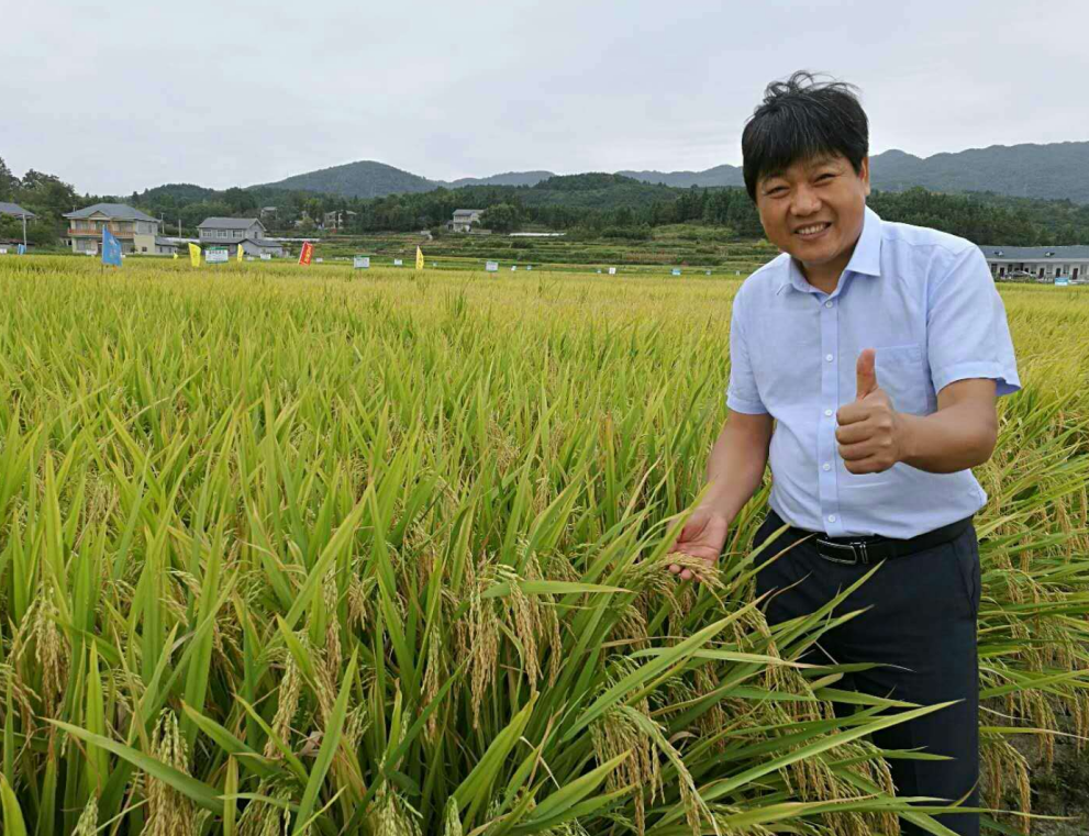 圖片1.png 圖片1.png