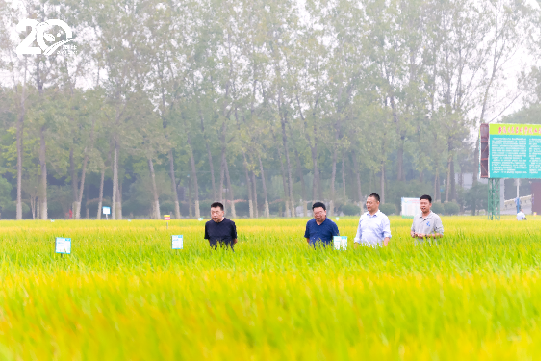 圖片14.png 圖片14.png